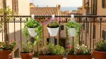 Fioriere Autoirriganti: Balcone Fiorito Senza Stress