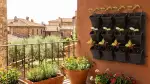 Giardino Verticale: Trasforma il Tuo Balcone