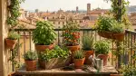 Il tuo orto aromatico in vaso