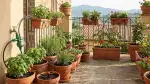 Irrigazione Intelligente per Terrazzi Fioriti
