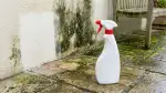 Muffa sul Terrazzo: Prevenzione Efficace