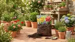 Terriccio Perfetto: Vita al Tuo Terrazzo