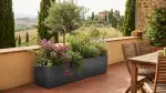 Vasi e Contenitori: Trasforma il Tuo Terrazzo