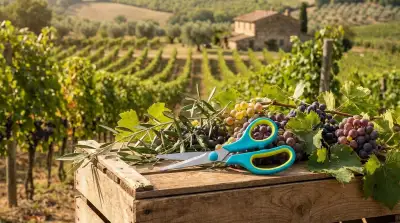 Cura Piante Autunno: Prepara Terrazzo