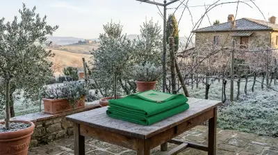 Proteggere le Piante sul Terrazzo in Inverno