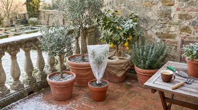 Protezione Piante in Vaso: Guida Essenziale