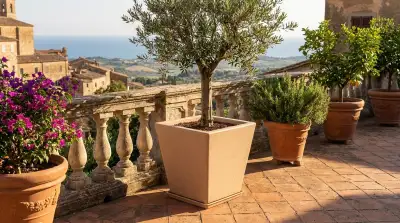 Vasi e Contenitori: Trasforma il Tuo Terrazzo